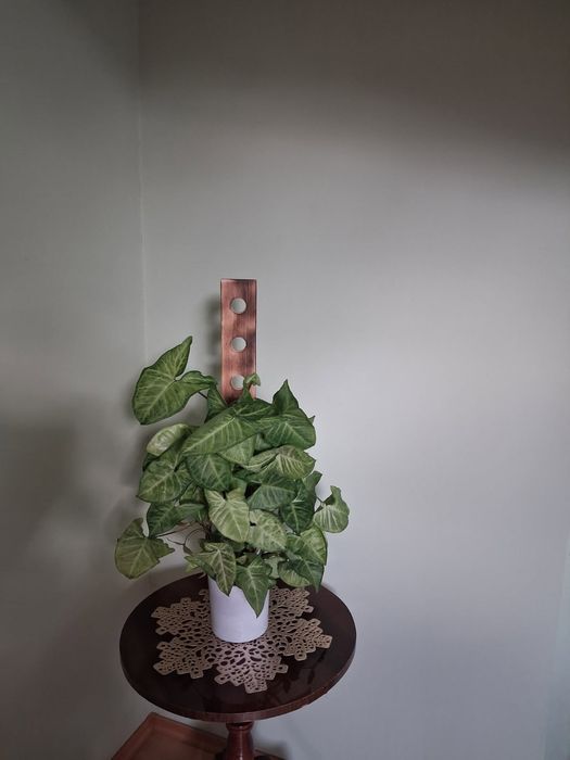 Podpora / palik do roślin