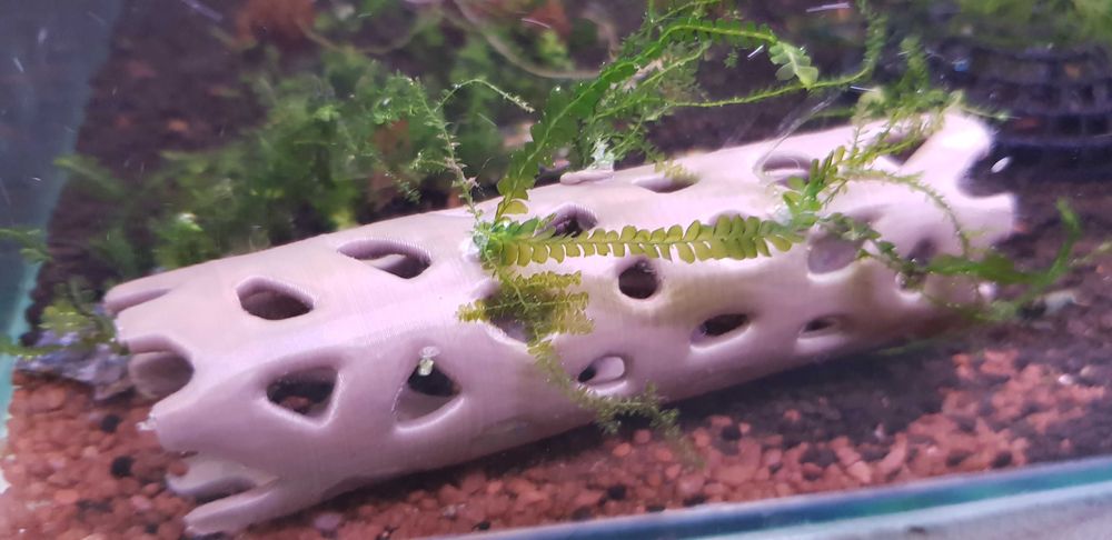 Rurka do krewetkarium, schronienie i ozdoba