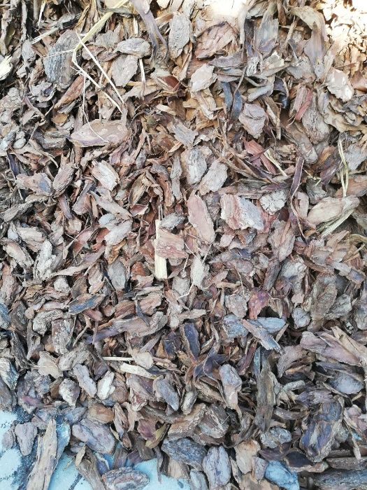 kora sosnowa  60l transport