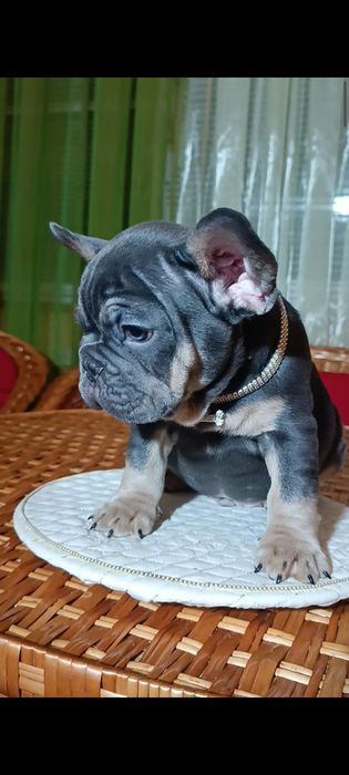 Мальчик голубой подпал