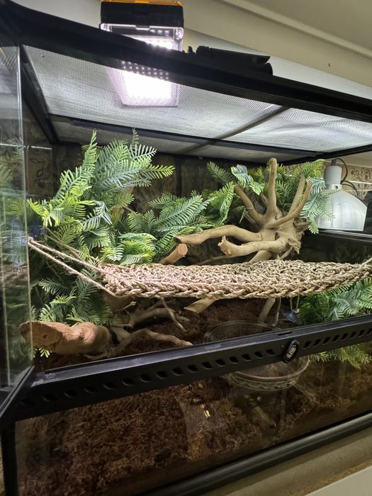 Терраріум та обладнання для хамелеона, гекона, ігуани, пітона, полоза