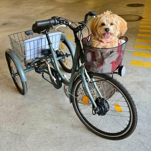 Triciclo eletrico IBH