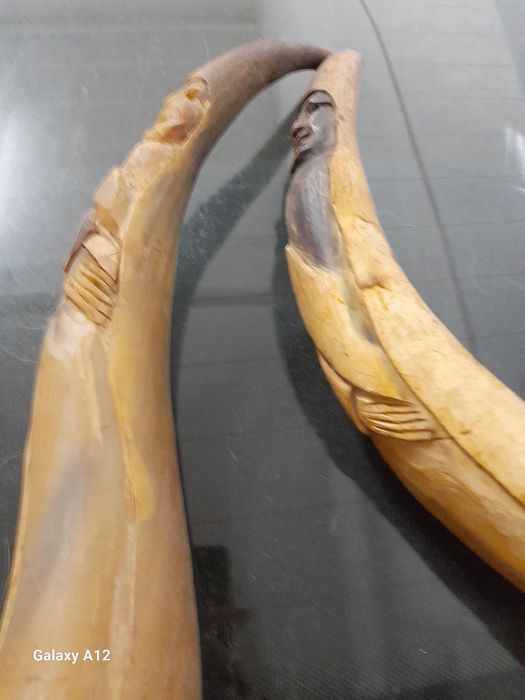 Chifres com desenhos esculpidos