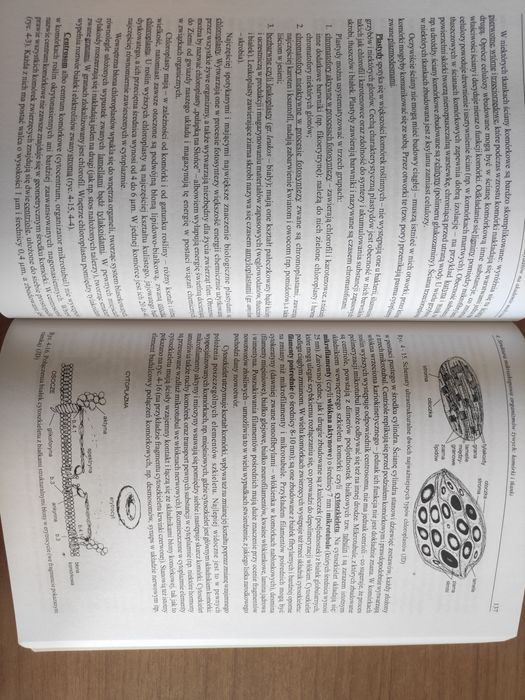 Biologia danowski cz.1 matura