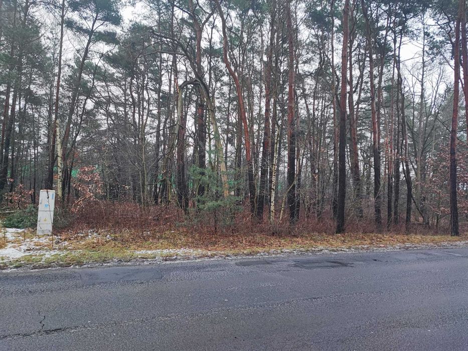 Działka budowlana - Puszczykowo