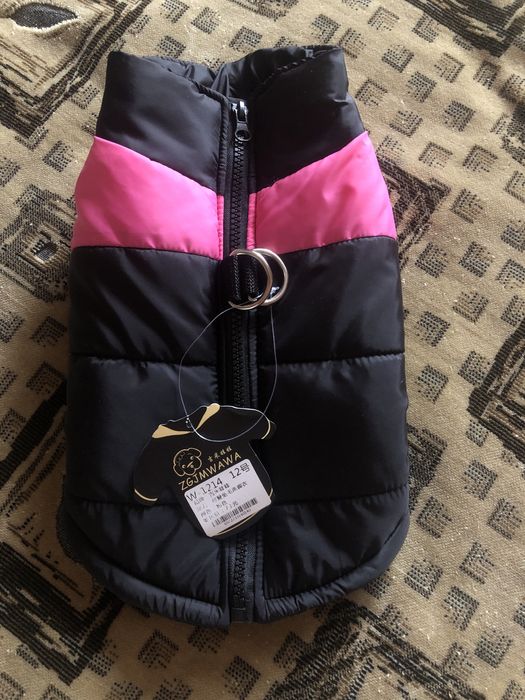 Одежда для собак