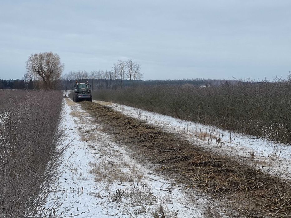 Mulczer leśny ,mulczowanie, oczyszczanie terenu,karczowanie