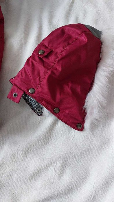 Комбінезон для собак