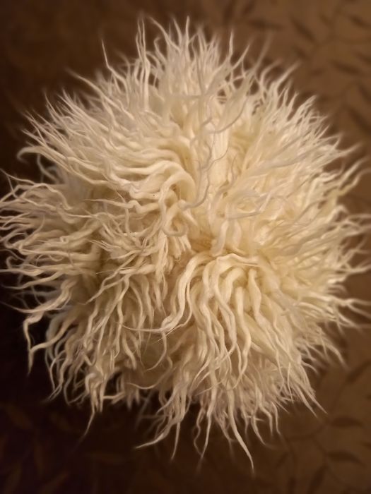 Czapka młodzieżowa biała ciepła futro polar włosy oryginalna