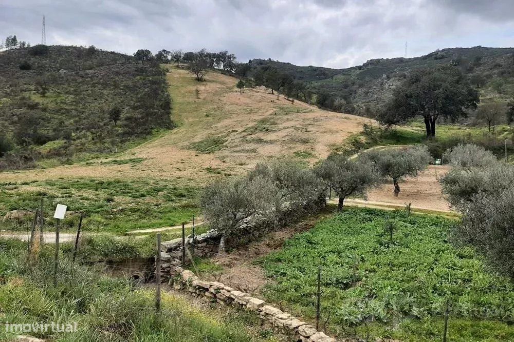 Rustic Land Plots in Mirandela