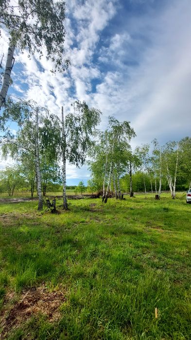Działka budowlana 8 arów (800m2) Nowa Dęba, media na działce