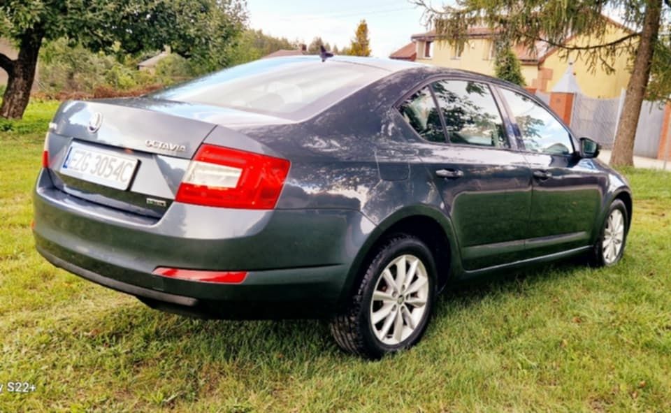 Skoda Octavia - Śliczna