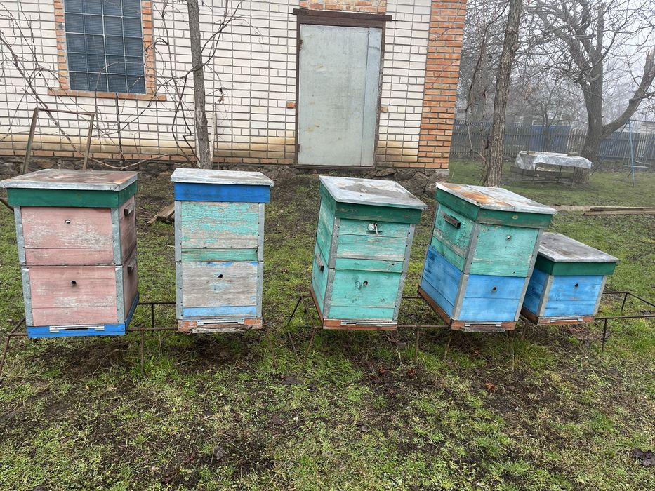 Продам корпусні вулики 10 рамочні