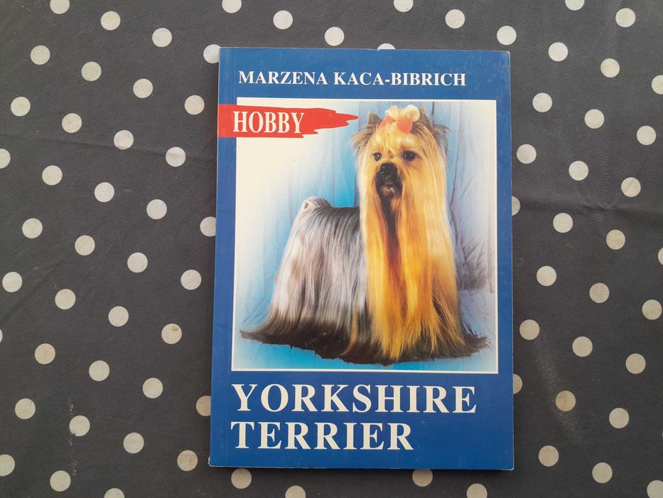 Yorkshire terrier Marzena Kaca - Bibrich