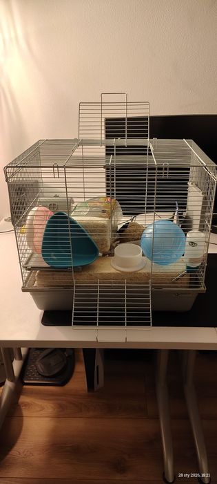 Klatka dla chomika gryzoni