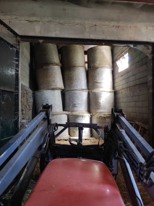 Rolos de Feno 2025 - Venda