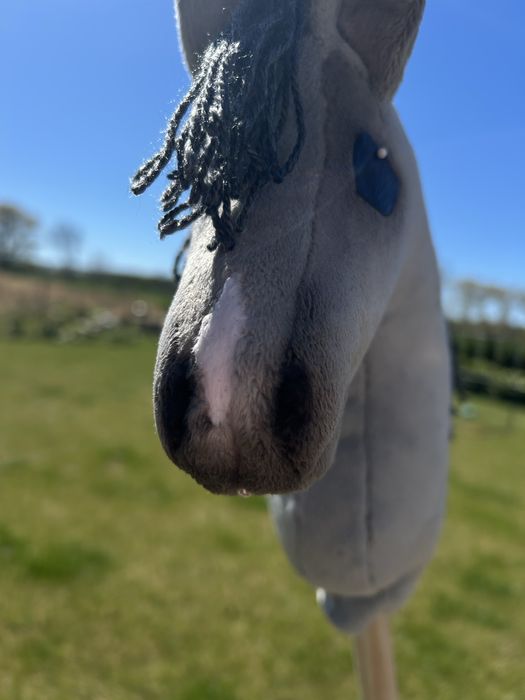 Hobby Horse konik na kiju