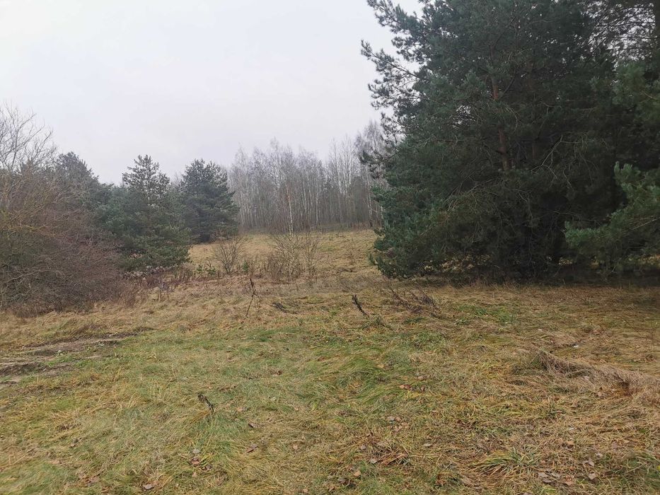 Działka pod gospodarowanie odpadami - Widok 3