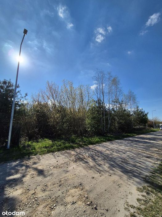 Piękna działka pod Białobrzegami - Widok 5
