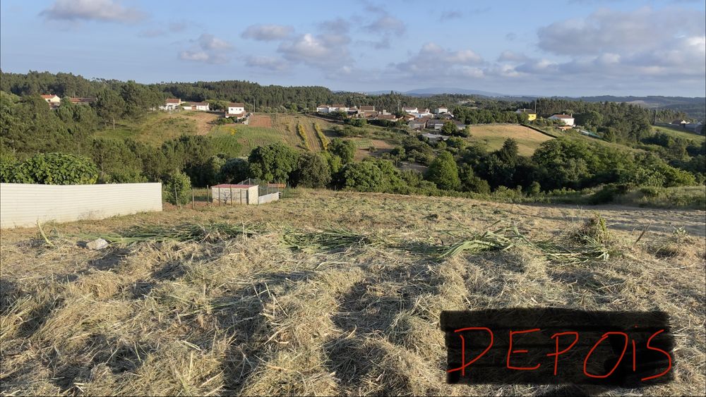 Serviço de mini giratória