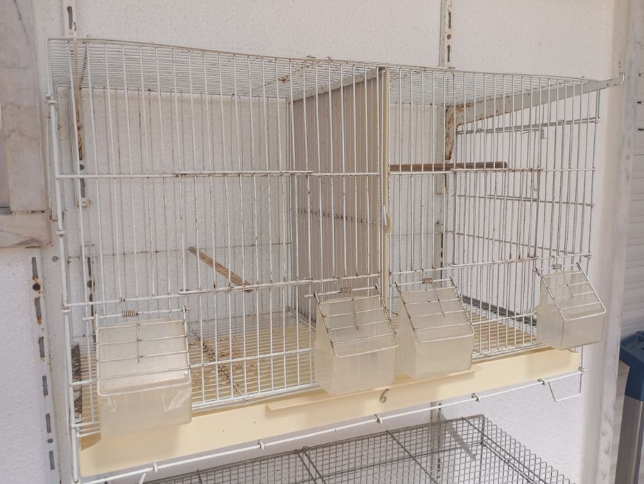 Gaiolas para aves