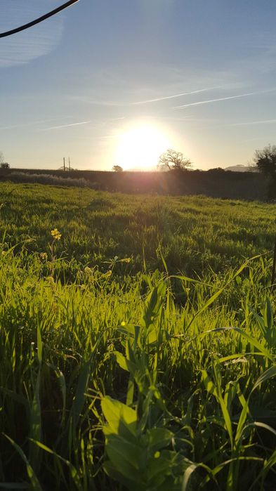 Moradia T3 independente com vista para quintas e vinhas.