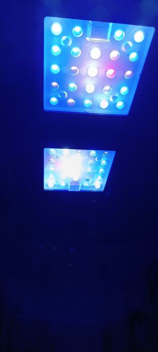 Luz led reef/água salgada 120w com controlador touch