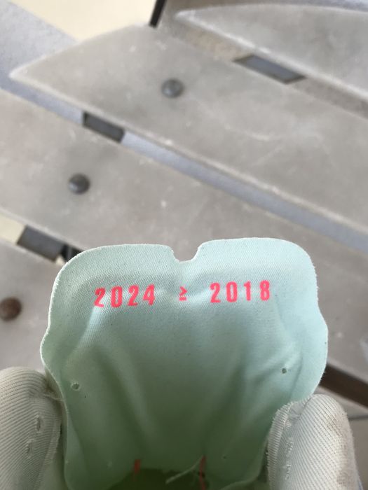 Nike Pegasus Plus Women