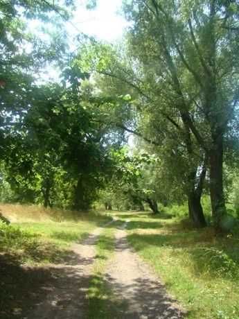 Оренда котеджу в шикарному місці на Десні подобово!!!