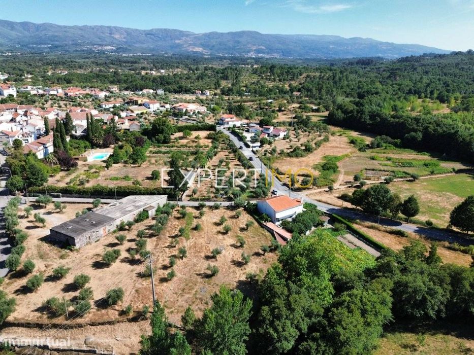 Terreno de 2.485 m² com Olival, Muro de Granito e Potencial de...
