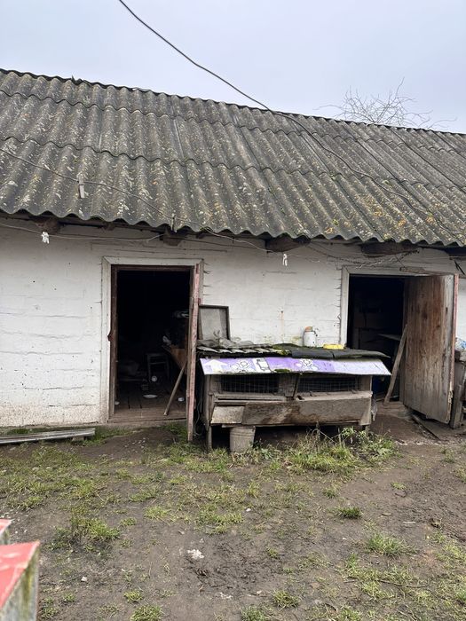 Продаж будинку з ділянкою 25 соток  с. Небелиця, Київська область