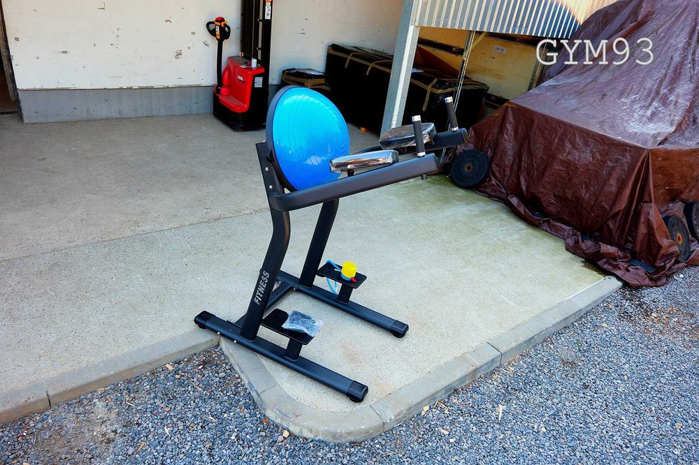 Dip na brzuch z Bosu Ball