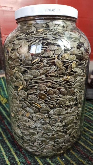 Насіння Гарбуза голонасінне