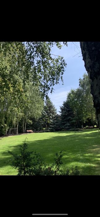 Дом по адресу ул. Шевченка (площадь 800 м²) - Atlanta.ua - фото 2