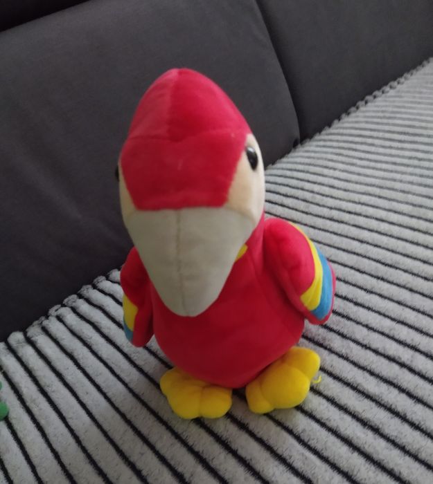 Papuga # grajonca # pluszowe # Playtive junior
