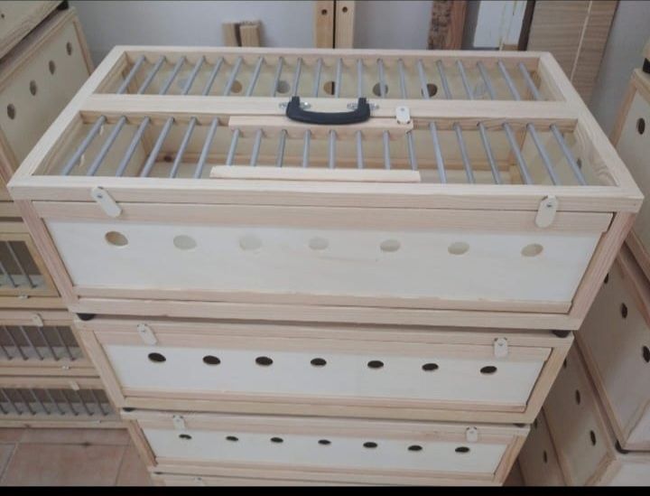 Transportadora de pombos