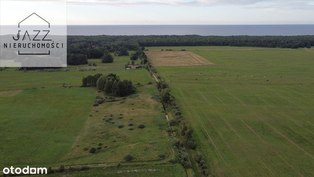 Dębki 15327m2 900 metrów od morza i plaży