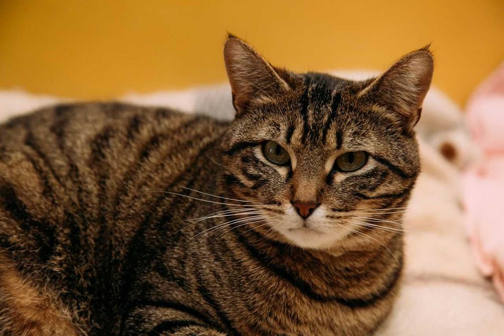 Замечательная позитивная Шпротинка -почему именно она ?