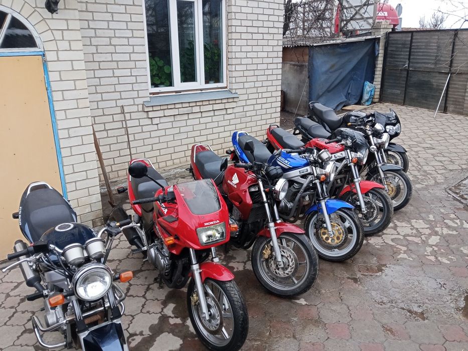 Свіжі з Німеччини