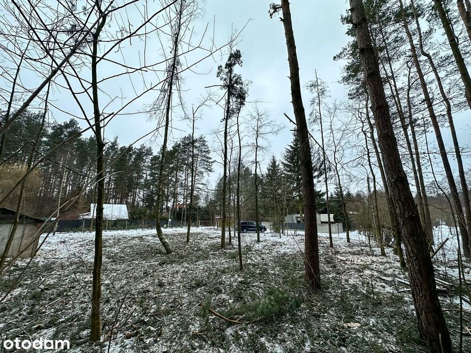 *** Działka Budowlana W Niewodnicy Kościelnej (Pełne Uzbrojenie) *** - View 4