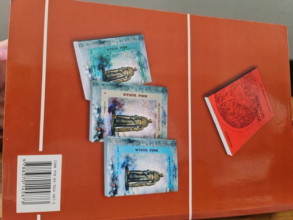 Książka Wincenty Pallotti Założyciel Dzieła Apostolstwa Katolickiego