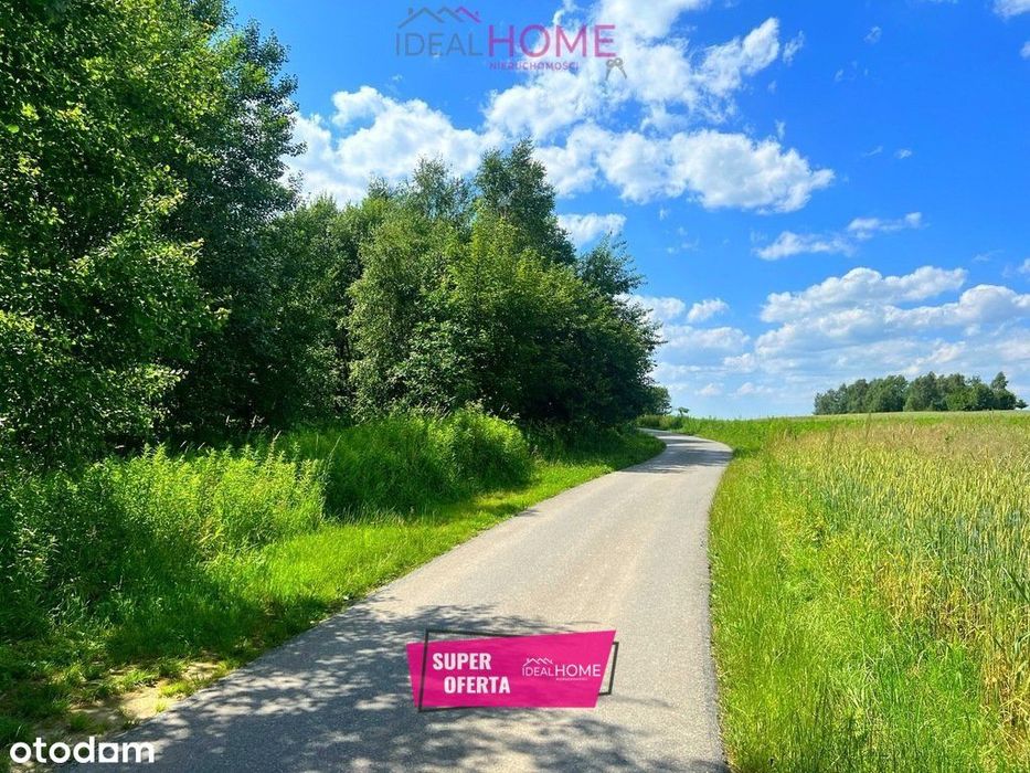 Kompleks działek na sprzedaż Zaborów