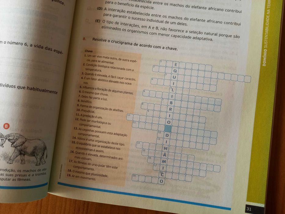 (NOVO, PORTES GRÁTIS) Descobrir a Terra 8: Caderno de Atividades