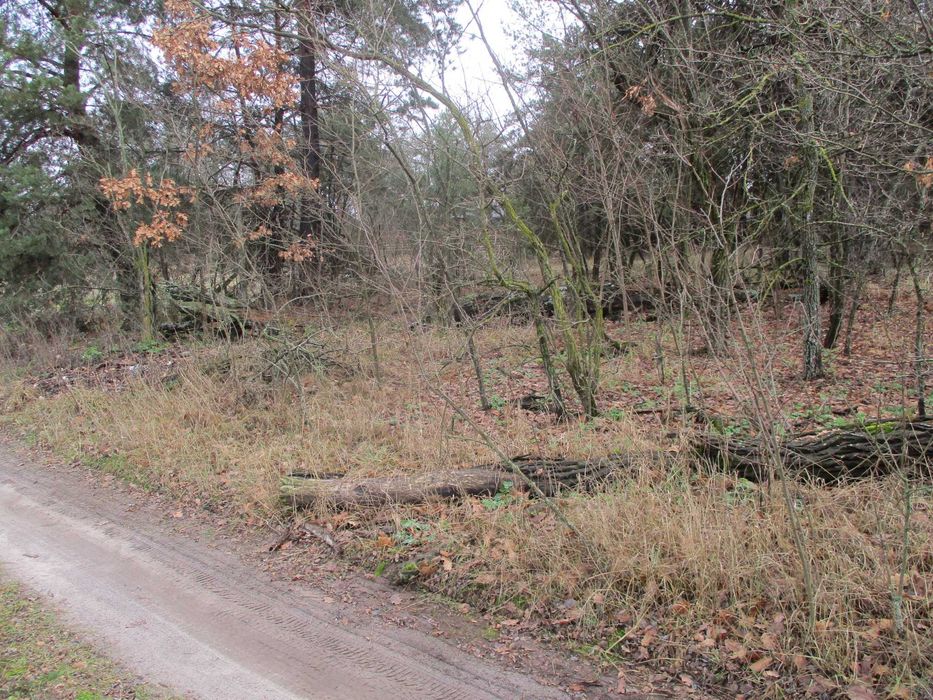 Продаж земельної ділянки 22,47 сот. Київська обл., с.Жукин  9100$