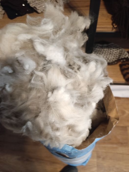 Runo alpak do przędzenia pierwsza jakość