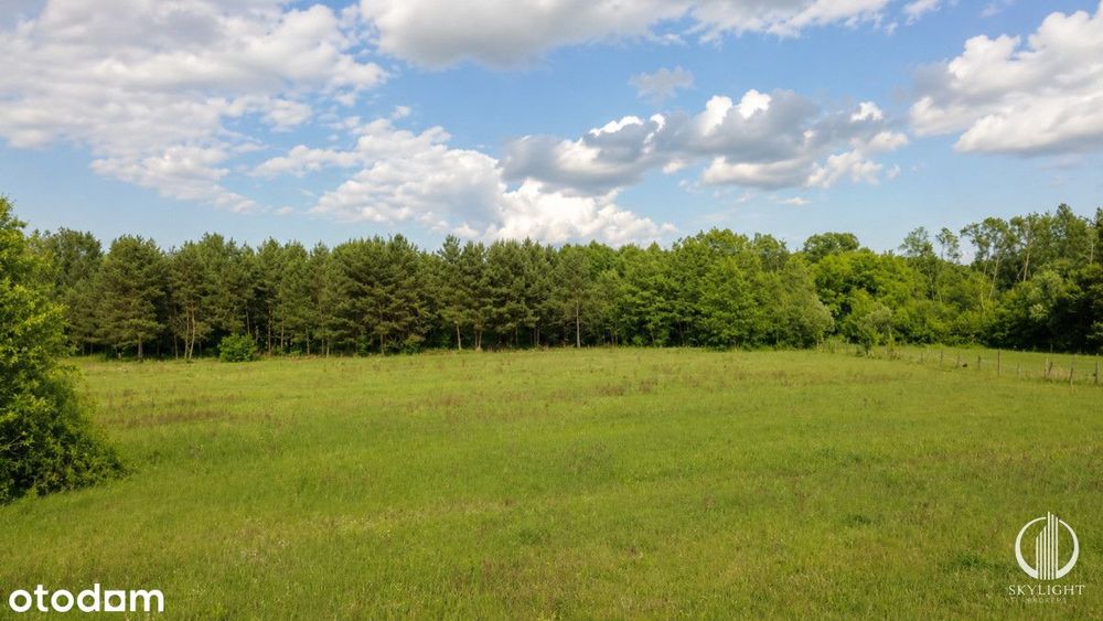 Działka budowlana 3252 m² z warunkami zabudowy - Widok 3