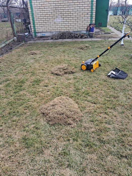 Покос газона, стрижка,скарифицация, аерація, чистка, підживлення туй
