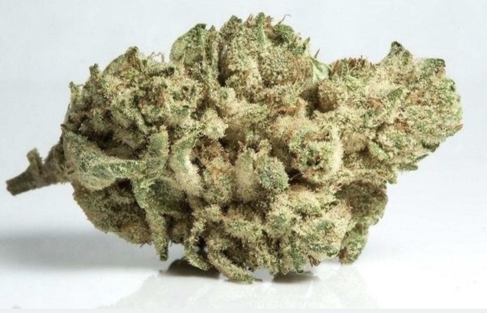 Susz konopny cbd, Łomża dowóz Konopie indyjskie marihuana 16-49%