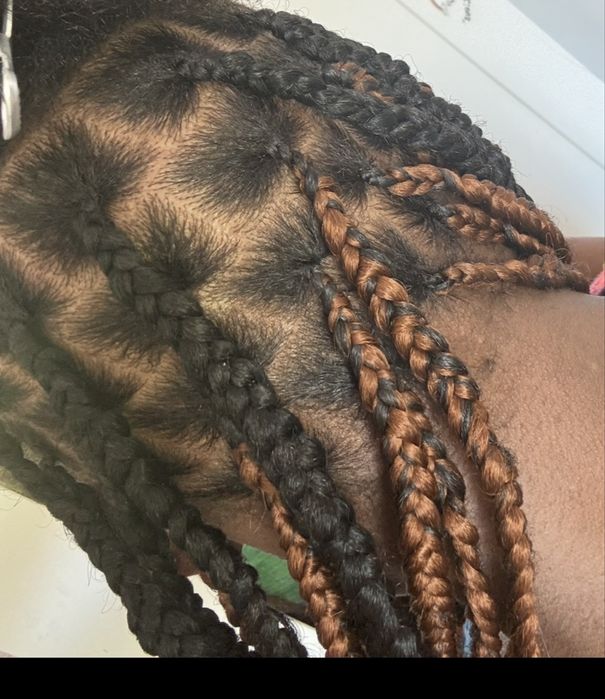 Tranças da lulu . Valor maximo 20€