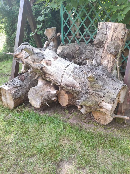 Sprzedam kloce drewna świerkowego